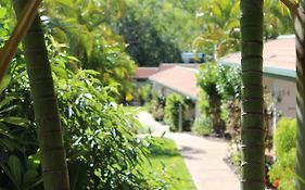 Amaroo Rainforest Resort